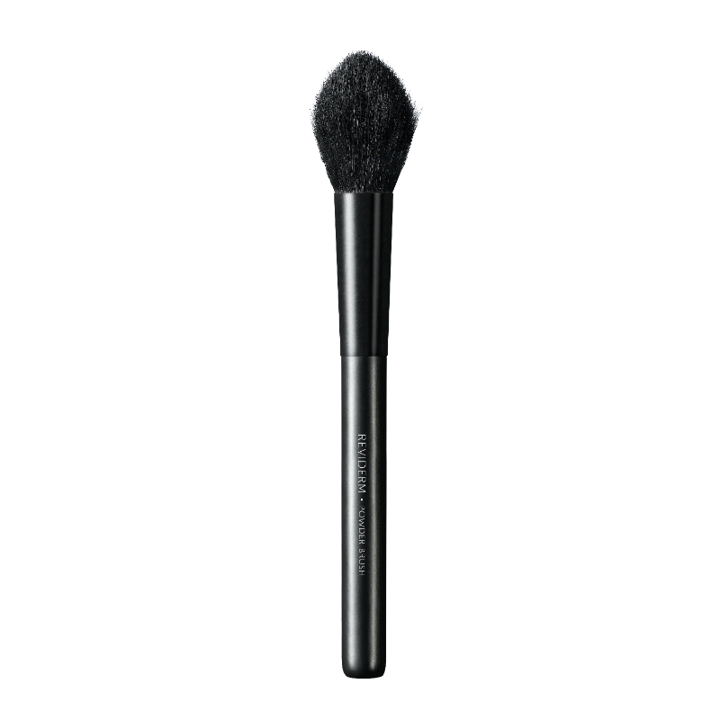 Powder brush